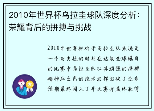 2010年世界杯乌拉圭球队深度分析：荣耀背后的拼搏与挑战